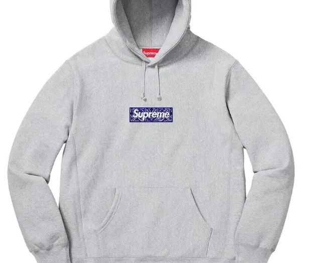 19FW Bandana Logo Hoodie Box Hoodie Flower L Grey XL Cashew S M Black 0821